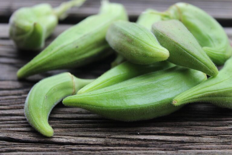 Want to Lose Weight? -Discover The Health Benefits Of Okra Water: What Happens To Your Body When You Drink Okra Water Every Morning | uxa2.com Want to Lose Weight? -Discover The Health Benefits Of Okra Water: What Happens To Your Body When You Drink Okra Water Every Morning | uxa2.com